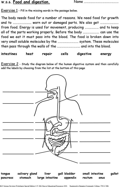 8Cd: Aerobic respiration. . Ks3 science worksheets pdf